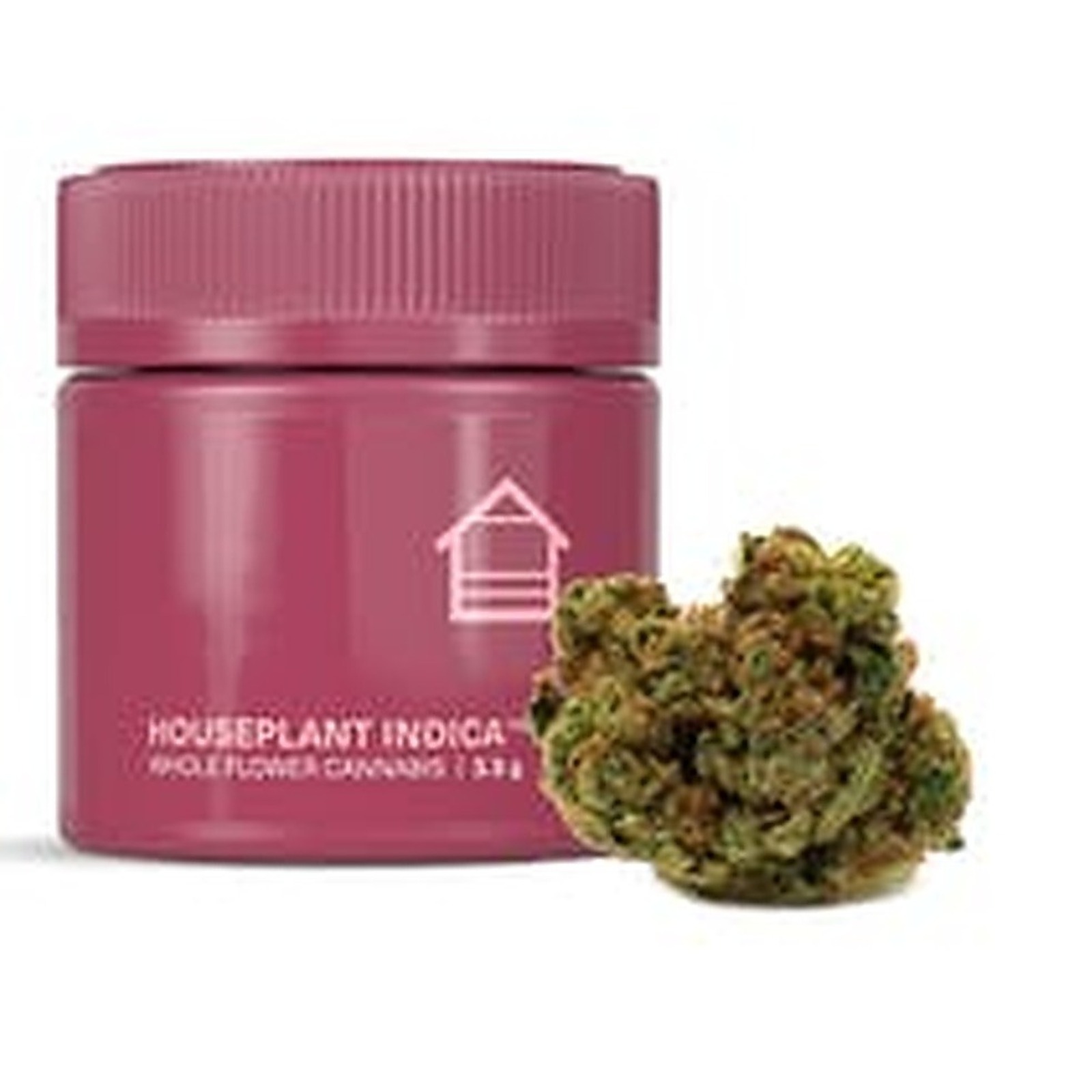 Houseplant Indica - HOUSEPLANT INDICA - 3.5